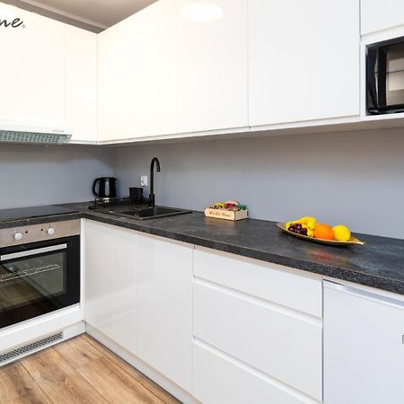 Wonder Home - Apartamenty W Sercu Karpacza, Blisko Deptaka I Terenow Zielonych 외부 사진